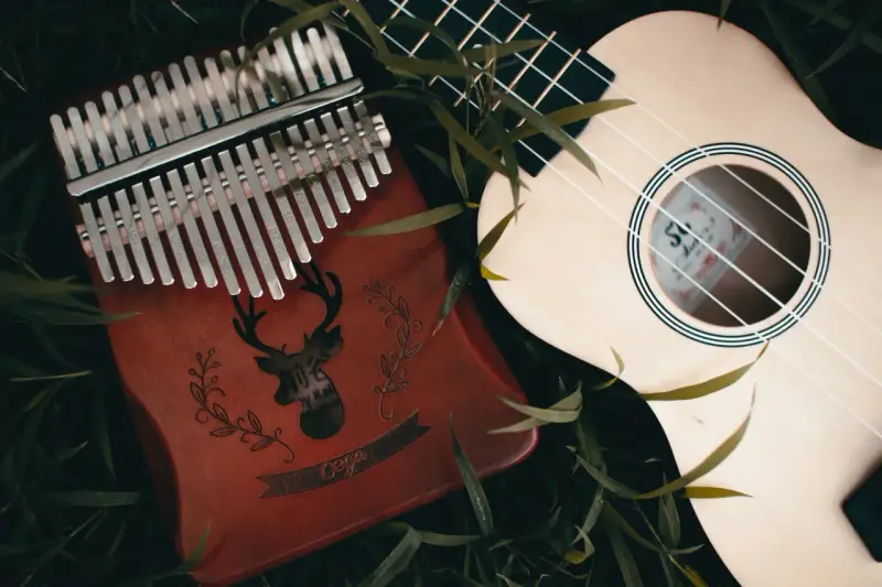 Kalimba 17 blaszek jak grać? Instrumenty muzyczne leżą wśród zieleni.